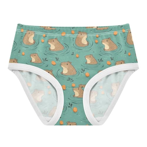 Little Girl Underwear Toddler Panties Kids Undies Capybara Soft Cotton Briefs 2T-8Y