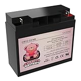 Charity Battery CB12-22 - 12V 22Ah CB19-12 SLA AGM Rechargeable Deep Cycle Replacement Battery