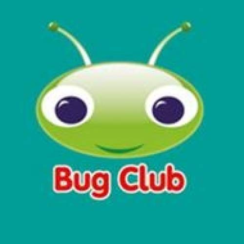 Bug Club Comprehension Y4 A Tale of Two Poggles 12 pack (Bug Club ...
