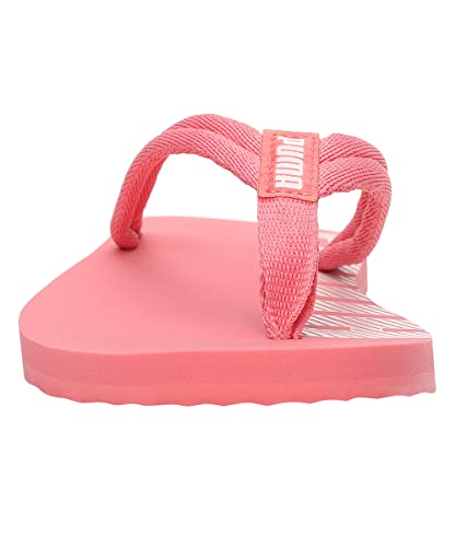 Image of PUMA Epic Flip V2 Synthetic Slipon Womens Athleisure Flip Flops