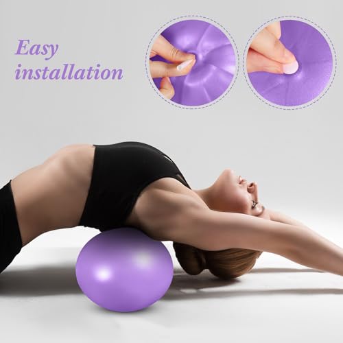Image of Aoriher 10 Pack 9 Inch Small Pilates Ball Bulk Mini Exercise Ball Portable Non-Slip Workout Yoga Balls with Air Pump for Stability, Barre, Fitness, Balance, Physical &Core, Gym Home Office Use