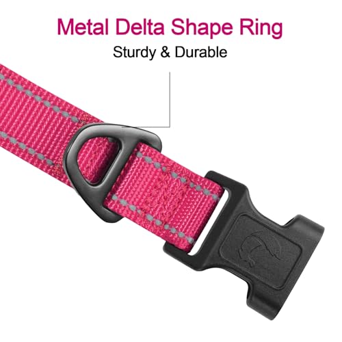 Joytale Halsband Hund, Gepolstertes Hundehalsband Breit aus Neopren Nylon Hundehalsband Verstellbar für Kleine Hunde, Weich und Reflektierend Hundehalsbänder, S, Hotpink