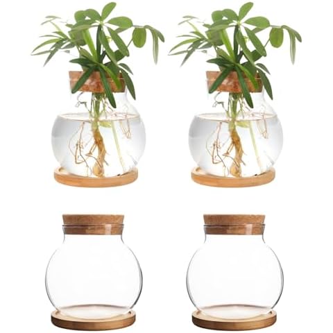 CHPINDAM Plant Propagation Station,Hydroponic Glass Container Vase Jars, with Wooden Saucer for Desks, Houses, Garden Decorations, Home Kitchen Decorations and Gifts for Plant Lovers (4) Cover