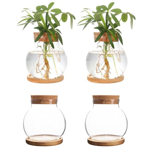 CHPINDAM Plant Propagation Station,Hydroponic Glass Container Vase Jars, with Wooden Saucer for Desks, Houses, Garden Decorations, Home Kitchen Decorations and Gifts for Plant Lovers (4)