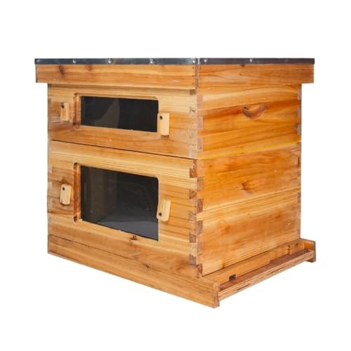 Outils apicoles complets incluant dix ruches modulables en bois ciré
