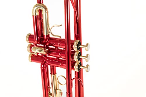 Trompete Roy Benson Bb TR-101R für Musiker
