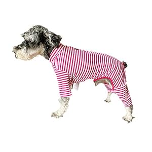 BT Bear Hondenkleding, elastisch, klassiek gestreepte huisdierkleding, beschermt gewrichten, anti-haar, vierpotige hondenpyjama, kleine honden, jumpsuit, voor katten, puppy, kleine honden