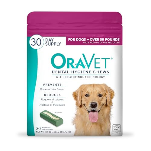 How can i get my dog to chew his food