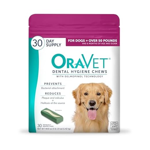 Large Dog Dental Chews for Oral Health