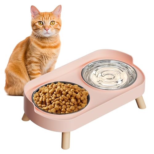 Elevated Cat Bowl Set Pink