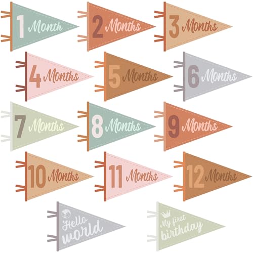 Image of 14PCS Felt Baby Monthly Milestone Banners Milestone Signs Pennant Flags Triangle Banner Age Flag Signs Newborn Photos Prop Supplies for Boy Girl First Year Birthday Baby Shower Decor Assorted Color