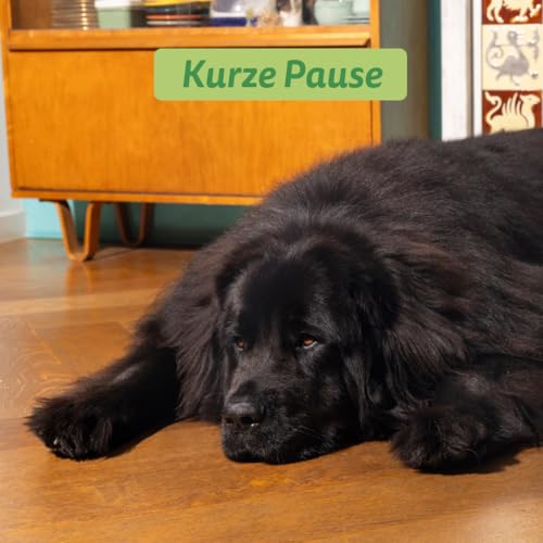 Edgard & Cooper Hundefutter, Trockenfutter für Hunde, (Lamm, 2.5kg), Getreidefrei, natürliche Zutaten und frisches Fleisch, voller essentieller Aminosäuren