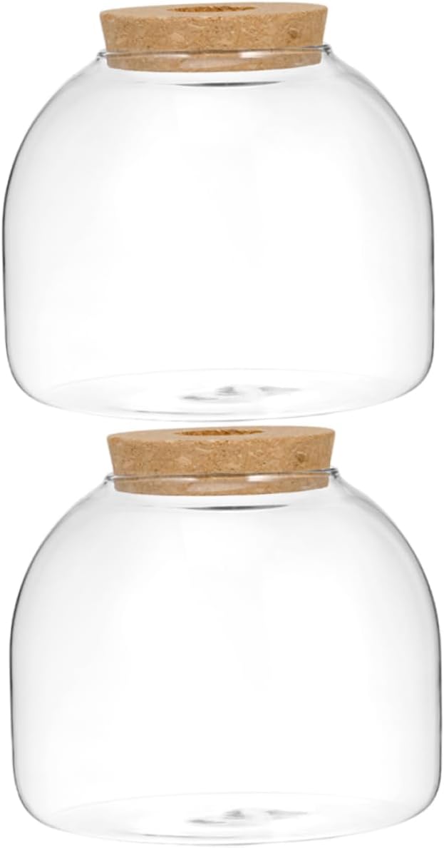 2pcs Landscape Terrarium Glass Bottle with Cork Stopper Decorative Jar for Hydroponic Plants Moss and Miniature Gardens for Home Decor and