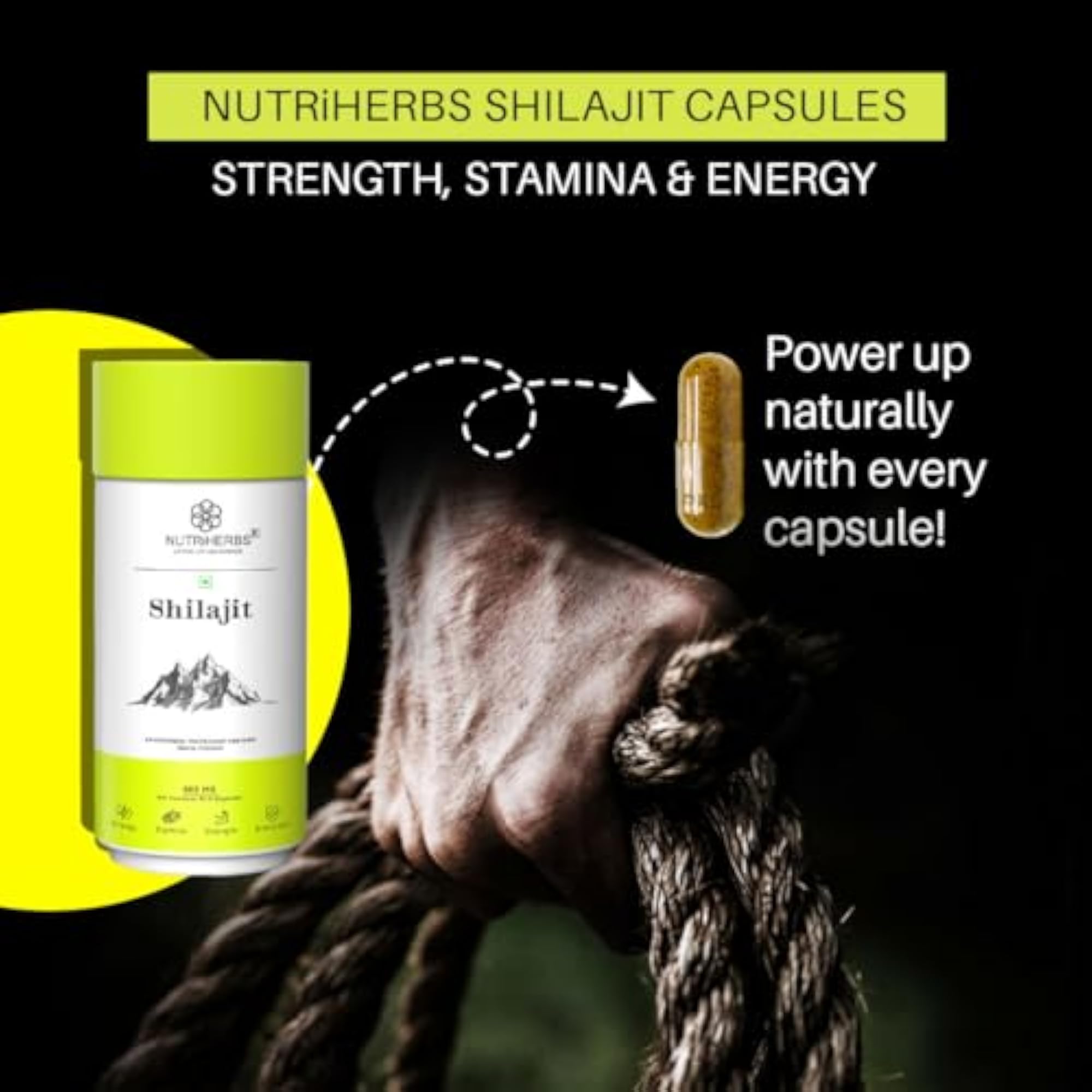 NUTRiHERBS Shilajit Capsules, 500mg Pack of 3
