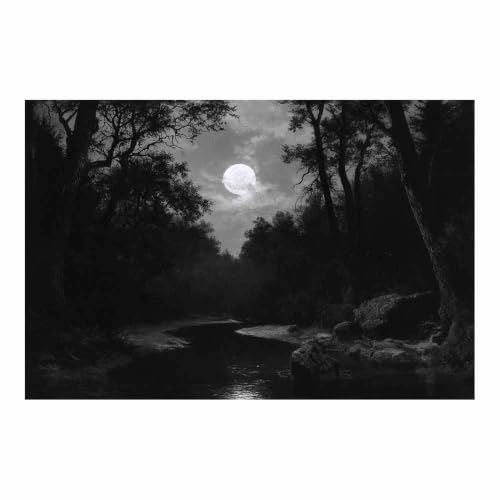 Poster noir et blanc woodland moon pour salon et chambre moderne