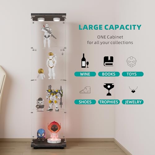 Display Cabinet for Glass Curio Collection