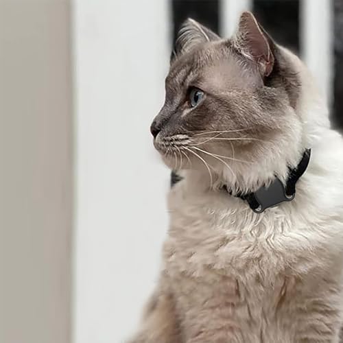 GPS Tracker for Dogs, Waterproof GPS Dog Tracker | No Monthly Fee, Real-Time Tracking Collar Device, Pet Tracking Collar | Lightweight LED Key Finder Locator, Portable Locator for Dogs and Pets - Image 3