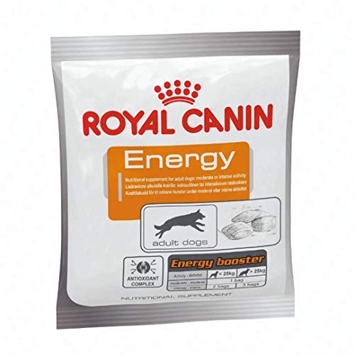 Royal Canin Hundesnack Energy 50g, 30er Pack (30 x 50 g)