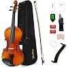 Violin 4/4 Full Size Kit for Adults Beginner, Violin Fiddle Set for Student with Rosewood Bow,Extra Strings&Bridge, Fingerboard Stickers, Shoulder Rest, Case,2 rosins(Plywood)