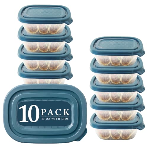 Neez 10 Pack 17oz Small Freezer Storage Containers (2 Cups)