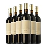 Telmo Rodríguez Gazur Tempranillo Ribera del Duero Joven 75 cl Vino tinto (Caja de 6 Botellas de 75 cl)