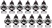 Little Trees BlackBerry Clove Air Freshener (Pack of 12)