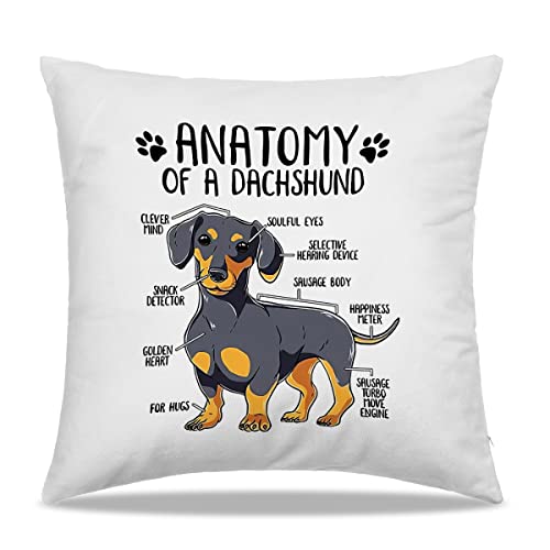 Dibor Anatomy Of A Dachshund Throw Pillow Covers 18X18 In - Gift For Dog Lovers Dachshund Mom Girls Women,Home Bedroom Living Room Girl Room Decorative Cushion Covers For Sofa Couch Bed #TOP22