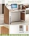 LITTLE TREE 47-Inch Reception Desk with Counter, Oak Front Desk Reception Room Table, Retail Counter for Checkout, Modern Welcome Desk for Lobby, Office, Beauty Salon