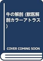 牛の解剖 (獣医解剖カラーアトラス) | RAYMOND R.ASHDOWN