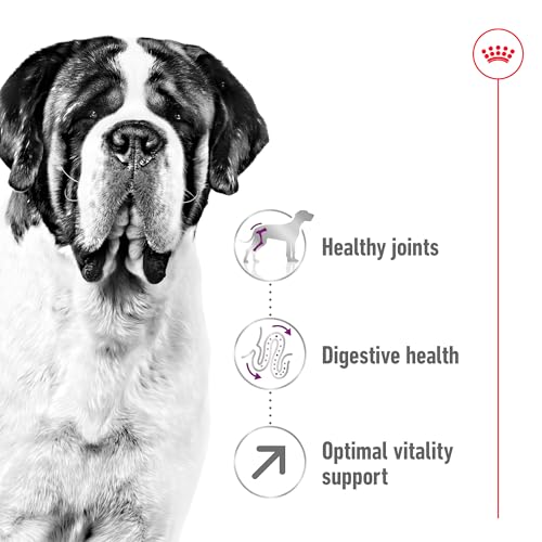 Royal Canin 35245 Giant Adult 4 kg - Hundefutter