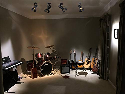 Tislyco Industrial Vintage Ceiling Spotlight Lamp, Adjustable Black Wall Lamp/Ceiling Light Barn Door Design Led Spot Lights Indoor Lighting For Hallway Art Light Stage Spotlight Living Room Theatre #TOP5