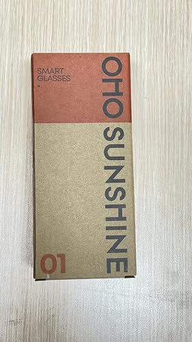 OhO sunshine OhOサンシャインAI翻訳スマートグラス AI 99 silver frame+photochromic lens の商品画像 9