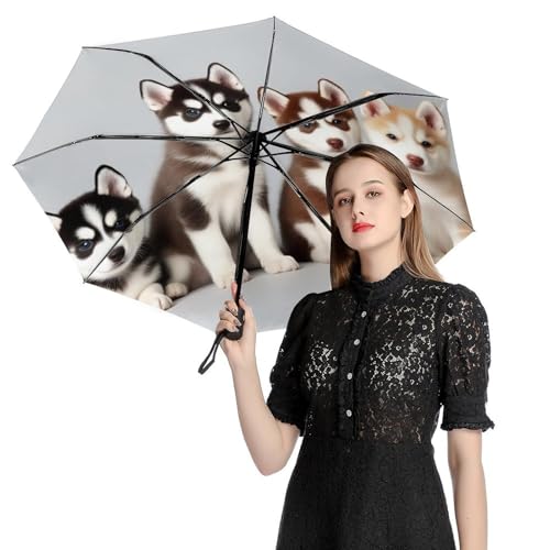 Meaudiwes Fashion Windproof Folding Travel Umbrella Unisex Compact Automatic Open Close Siberian Husky Puppies Dogs Husky