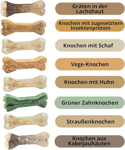 GUSTO PETS Kauknochen für Hund mit Strauß 12 cm - 100% Natürlicher Hundeknochen, leicht verdaulicher Protein-Snack, Ergänzungsfuttermittel für Hunde, ohne Zusatzstoffe, Hergestellt in der EU