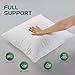 Utopia Bedding Kopfkissen 40x40 cm (2er Set), Gestepptes Kissen für Bett und als Dekokissen, Kissenfüllung, SofaKissen, Zierkissen für Couch (Weiß)