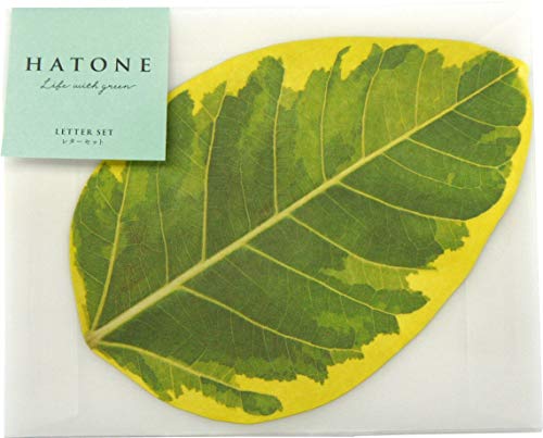 ngl(Hatone) (4S05X) ^[Zbg tBJXEAeV[} 8701