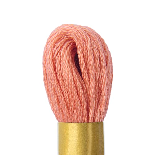 Meada de Linha para Bordar Círculo Maxi Mouline - 8m - 259