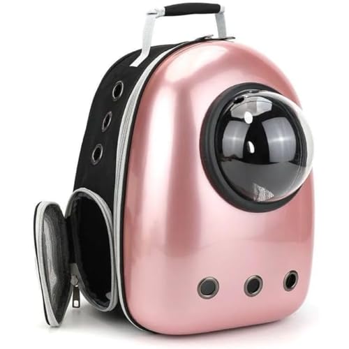 WhiteForest LL[obO LbN LL[ bN FD JvZ y ^p hCu LsO s ʉ@ ЊQ p ω׏d6.5Kg ([YS[h)