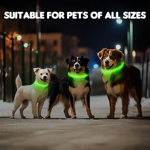 MASBRILL Leuchthalsband Hund Aufladbar, Hundehalsband Leuchtend Wasserdicht mit 3 Beleuchtungsmodi, Einstellbare Länge LED Halsband für Kleine, Mittlere und Große Hunde(Grün)