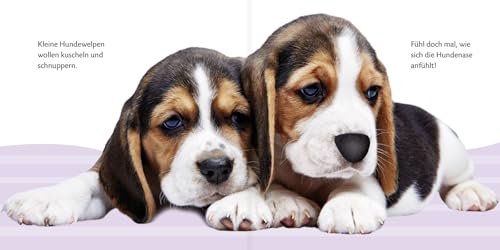 Kennst du das? Mein Fühlbuch Hundebabys: ab 12 Monaten (DUDEN Pappbilderbücher Kennst Du das?, Band 21)