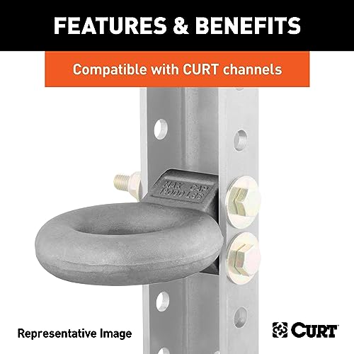 CURT 48601 Adjustable Lunette Eye by CURT - Image 4