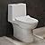 Daxton One Piece Elongated Dual Flush Toilet 1.1/1.6 GPF White
