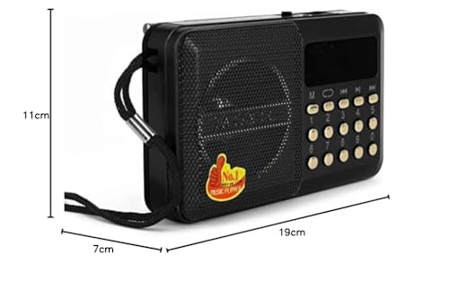 راديو رقمي محمول يدعم الفلاش وكرت الذاكرة من جوك H011UR