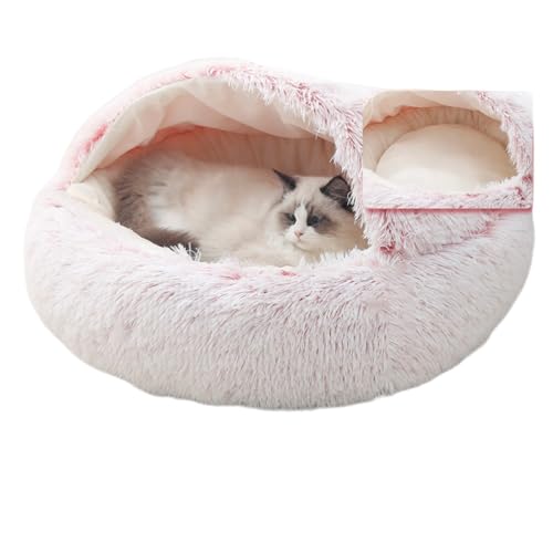 nEX ybgxbh Lp p ^ h[^ ~ ی^ ӂӂ _炩 ۉ g  NbV }bg  Vv ʔNp  |vs TCY (sN,L)