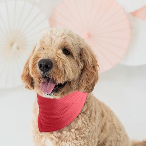 ICEMOOD Haustier-Baumwoll-Bandanas mit verstellbarem Druckknopf für kleine Welpen – Einfarbiges Hundehalstuch,Wein Rot,M