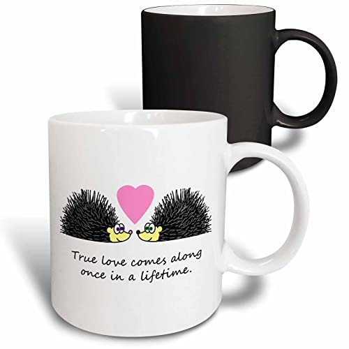3dRose True Love Hedgehog Love Design 11oz Magic Transforming Mug