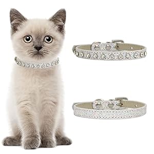 HACRAHO Leder Strass Katzenhalsband 2 Stück