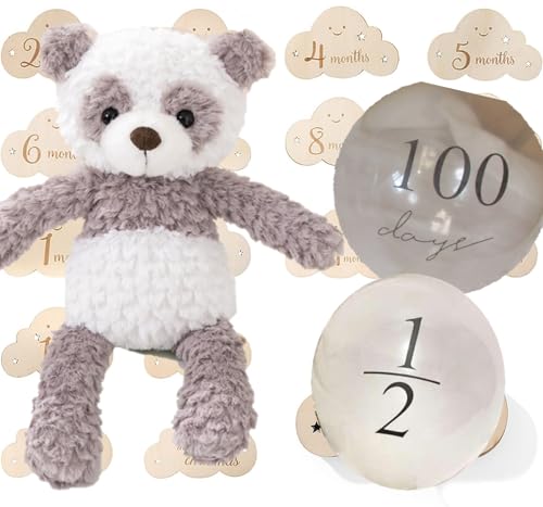 JP-SAKURA yKiz BeZbgt t@[XggC  n[to[Xf[ 100j }Cxr[Xg ʂ 蕨 Mtg oYj (p_i؎D+Dtj)