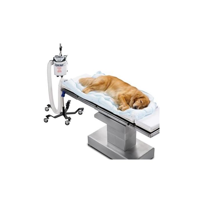 Buy 3M 55077 Bair Hugger Animal Health Blanket, Underbody, Long (Pack