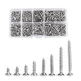 800 Piezas de Tornillos Autorroscantes M2 Tornillos de Acero Inoxidable para Paneles de Yeso Juego de Tornillos Autoperforantes Tornillos de Cabeza Plana Phillips Tornillos para Paneles de Yeso con Ca
